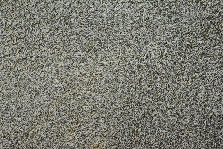 Рідкі шпалери Silkplaster Форт 516